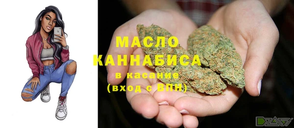 дмт Рославль