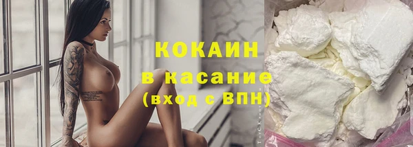 прущие грибы Балахна