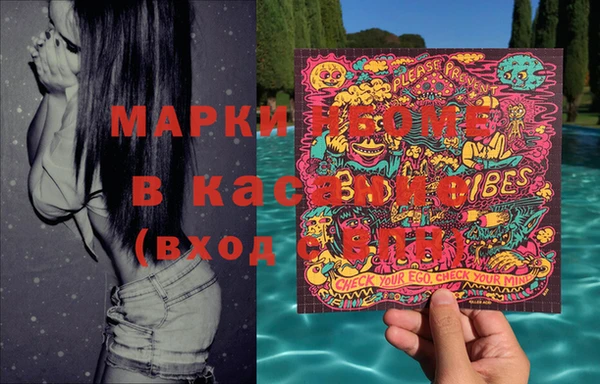 прущие грибы Балахна