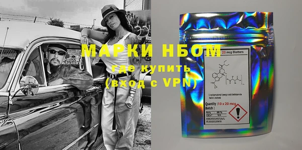 прущие грибы Балахна