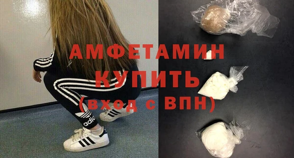 прущие грибы Балахна
